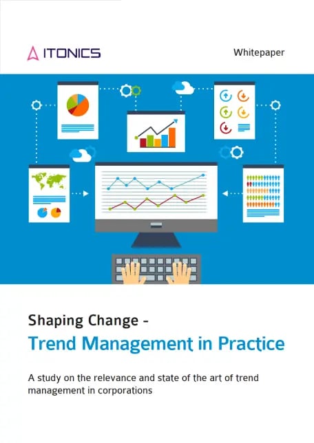 White Paper Trend Management in Practice
